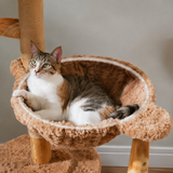 Bloom Cat Tree