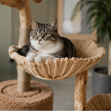 Bloom Cat Tree