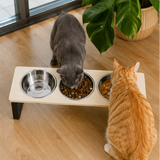 3-Bowl Raised Dog & Cat Feeder