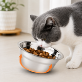 Cat Feeding Station