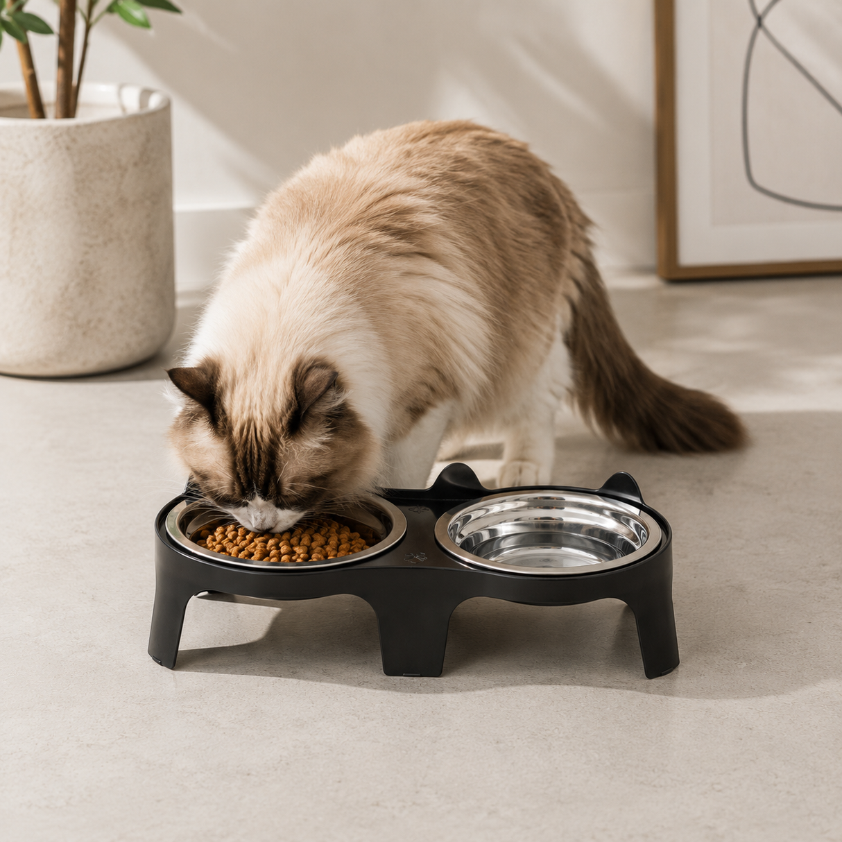 Stainless Steel Kitty Dining Bowl