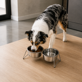Stainless Steel Elevated Pet Bowls